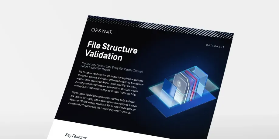 file structure validation datasheet