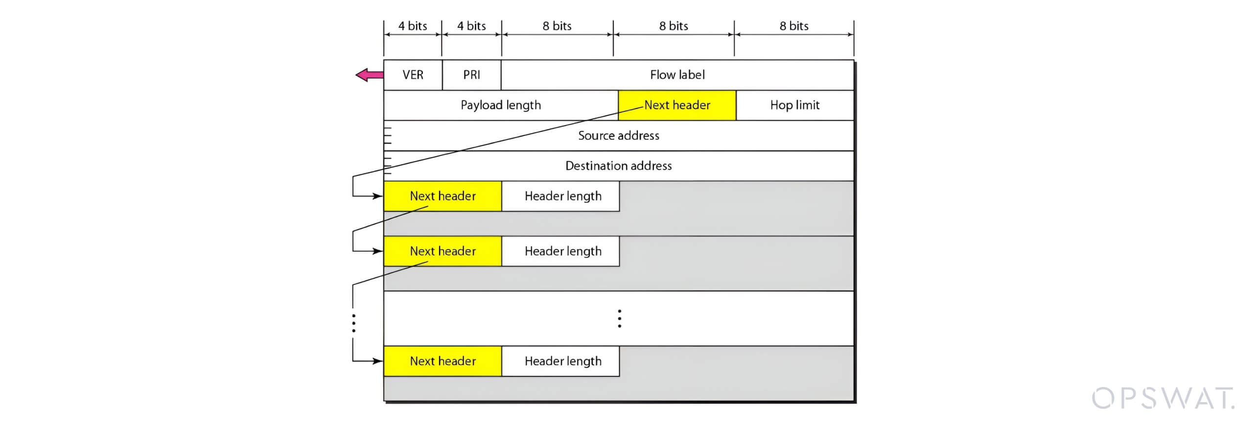رسم تخطيطي يصور رؤوس امتداد IPv6 وهيكل الحزمة