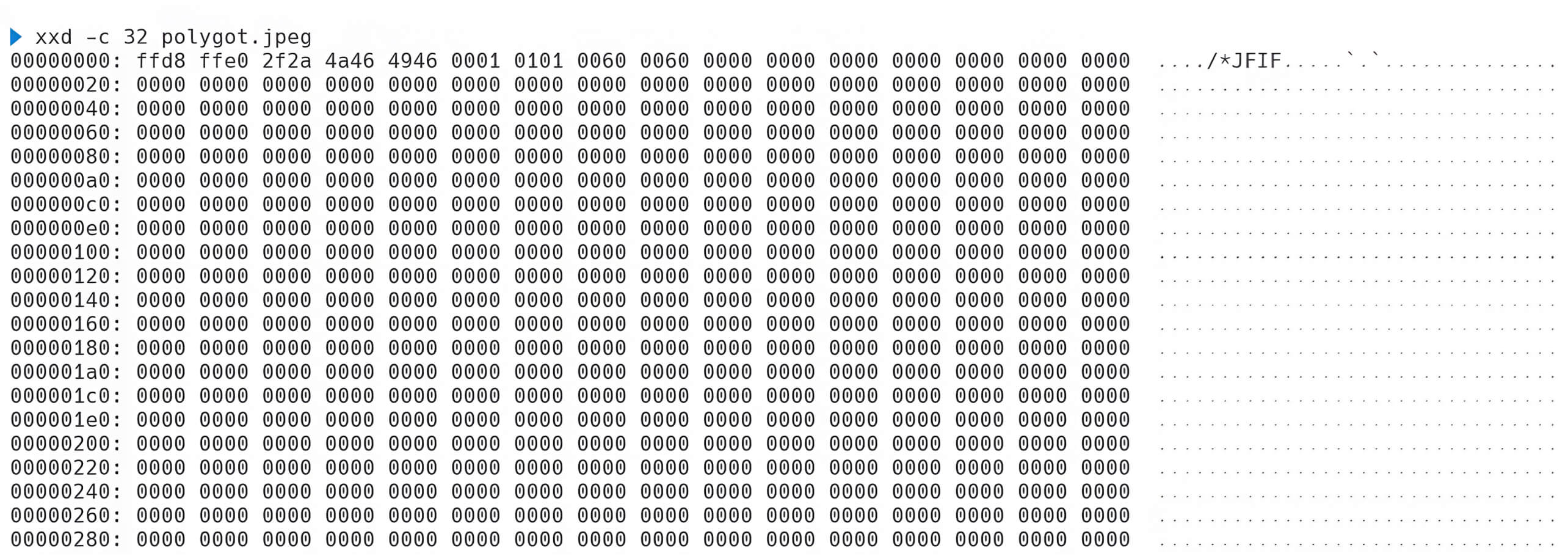 Hexadecimal representation of a polyglot JPEG file