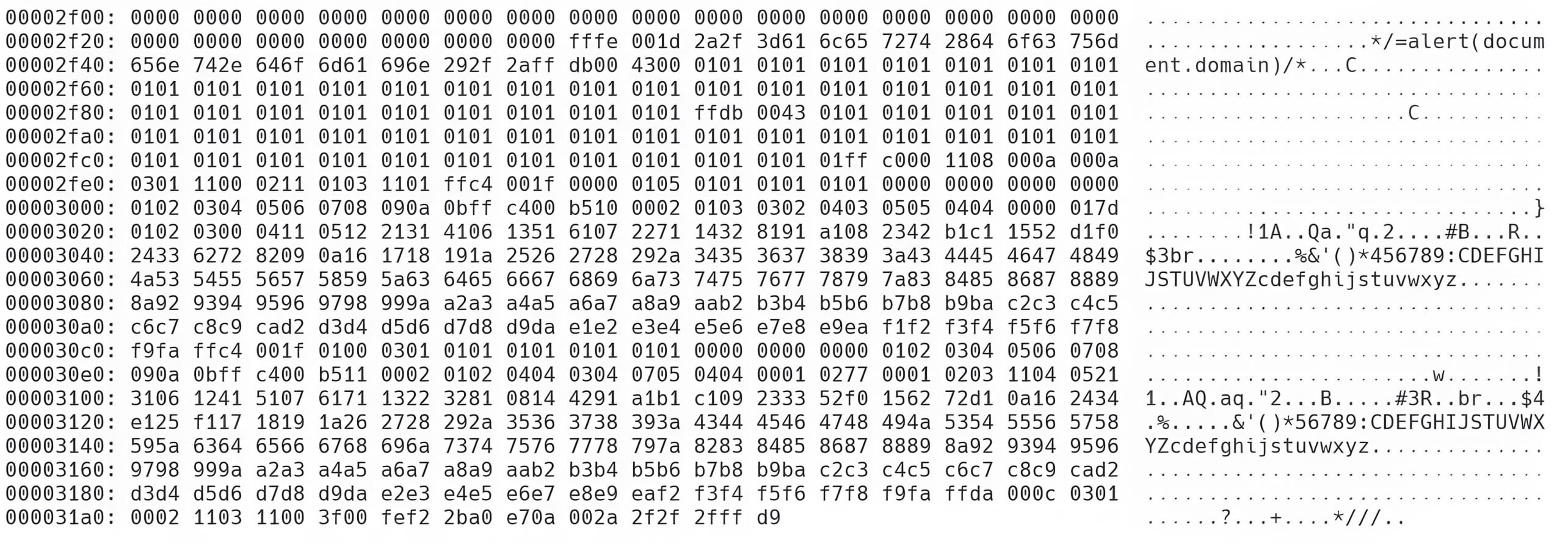 Extended view of JavaScript code within the modified hexadecimal image