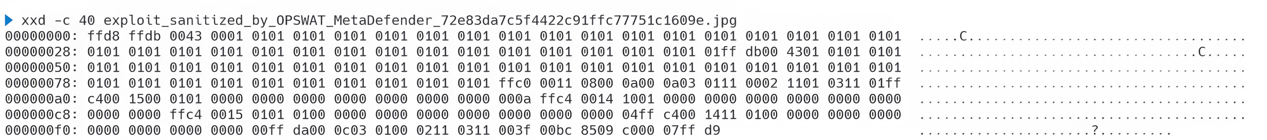 Hexadecimal values of a sanitized file after processing by OPSWAT MetaDefender