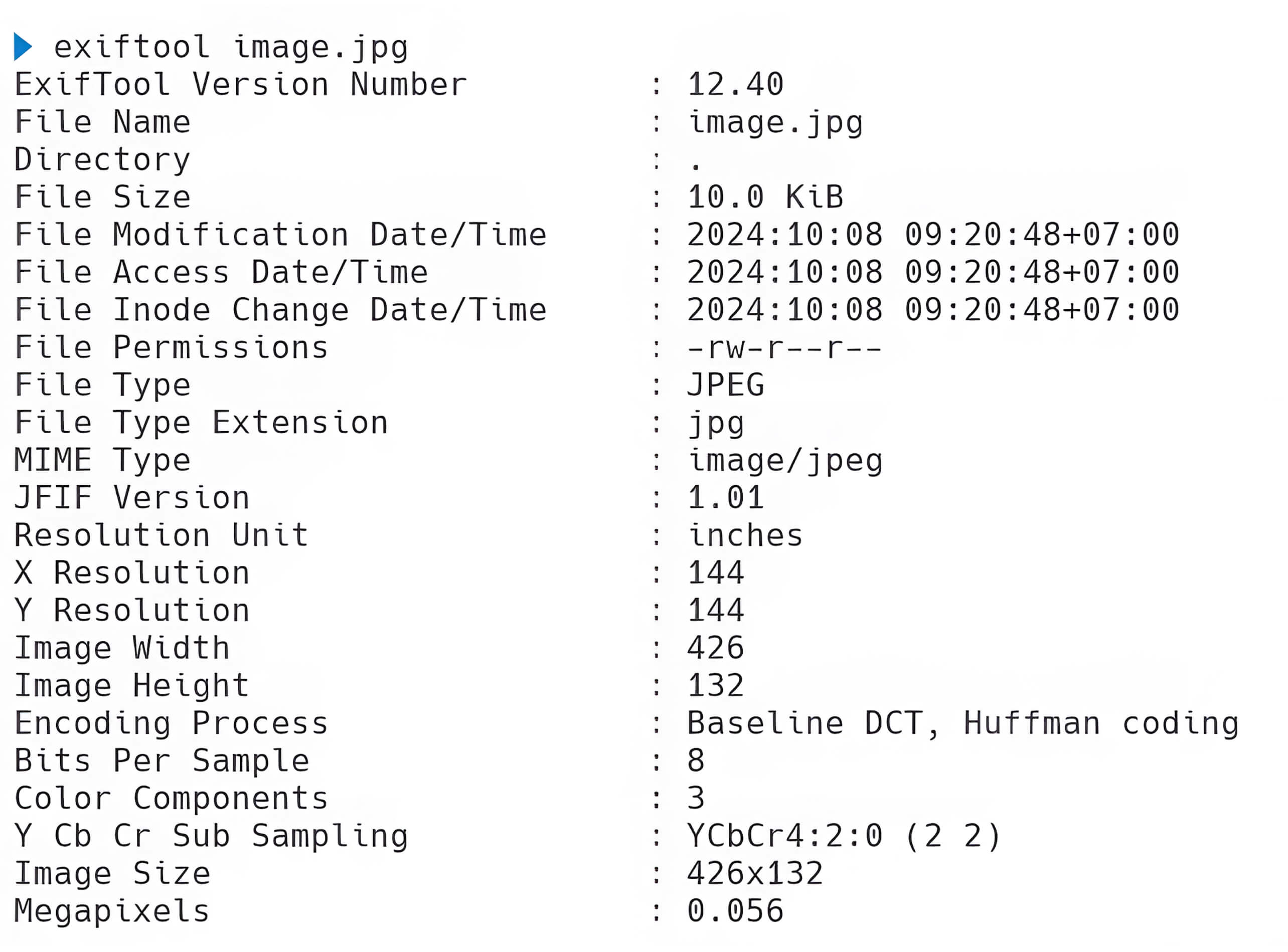 Screenshot showing detailed Exif metadata extracted from an image file, including file type, resolution, and encoding information