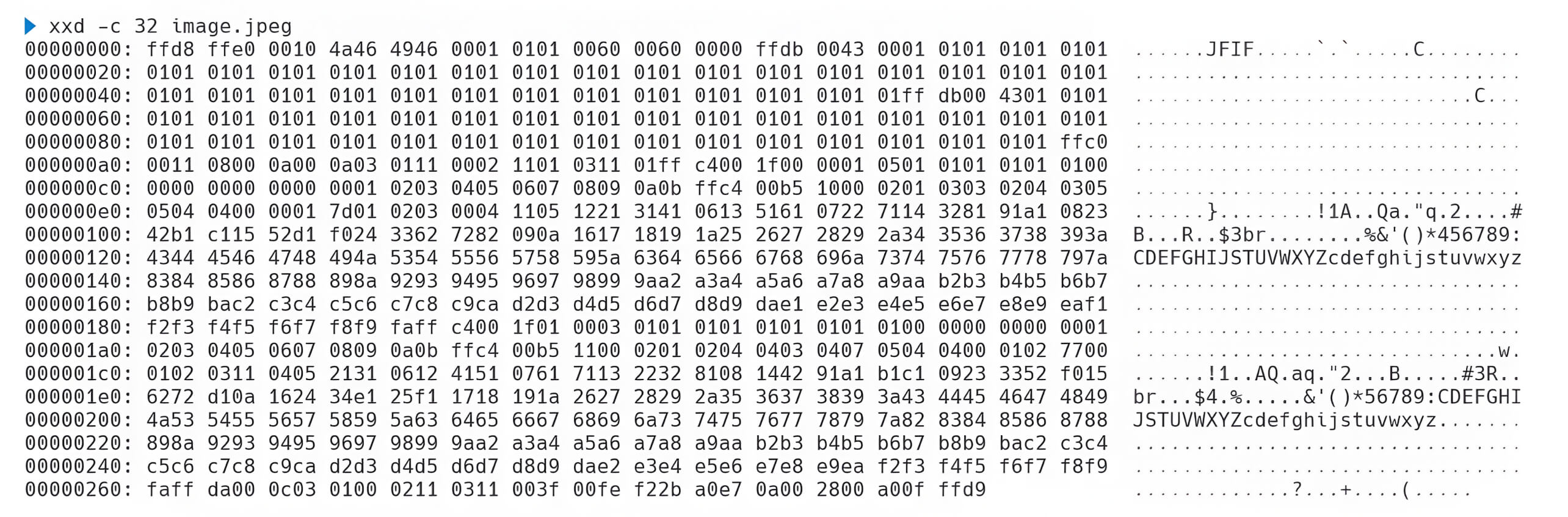 Hexadecimal representation of an image file, showcasing its structure and encoding
