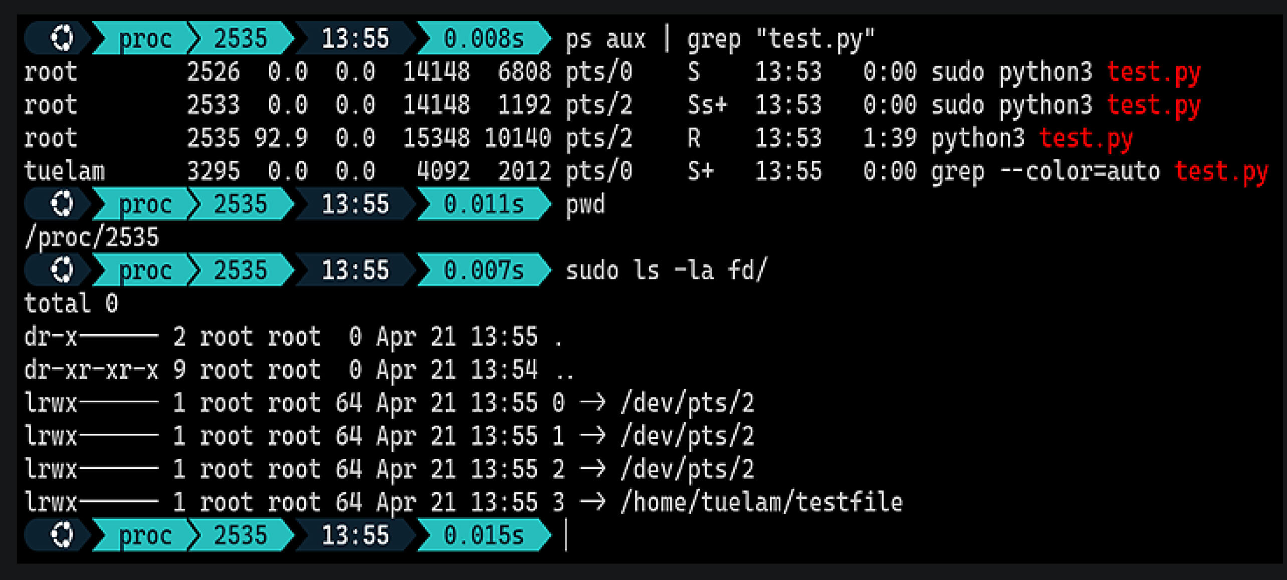 顯示與 CVE-2025-1974 (IngressNightmare) 攻擊策略相關的程序與檔案描述符詳細資訊的終端輸出