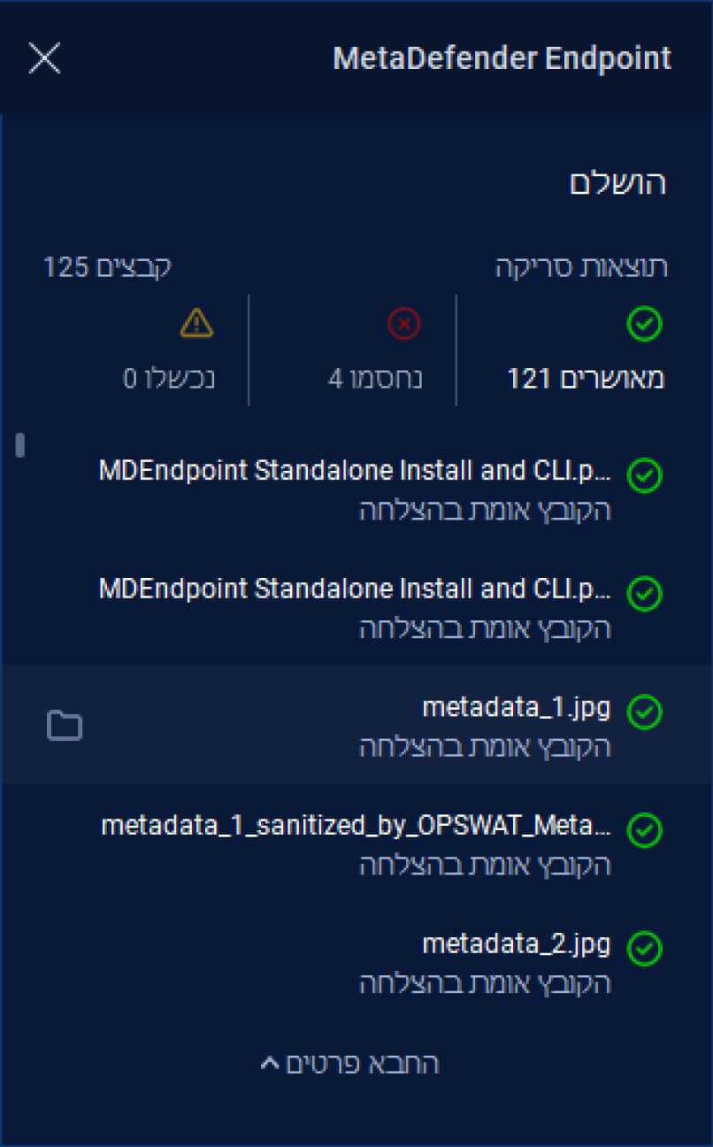 Endpoint scan summary in Hebrew showing allowed and blocked items