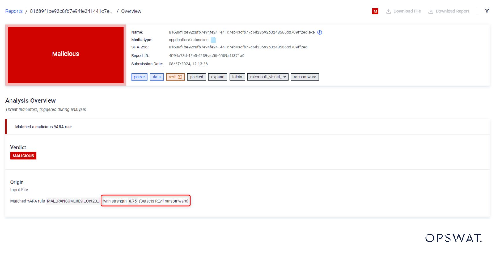 MetaDefender Sandbox identifies a file as malicious, matching a YARA rule for ransomware detection