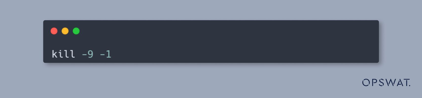 مقتطف بسيط من أمر طرفي بسيط مع الأمر 'kill' لإنهاء العمليات