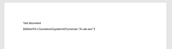 DDE Example Field Code Displayed
