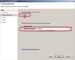 Specify TCP and port 8008