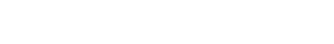 政府网络安全专家