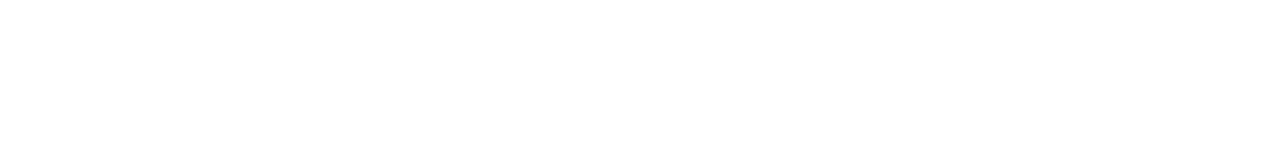 The Platform Director