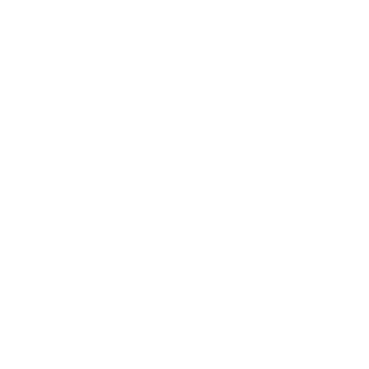 logo-ul netscaler