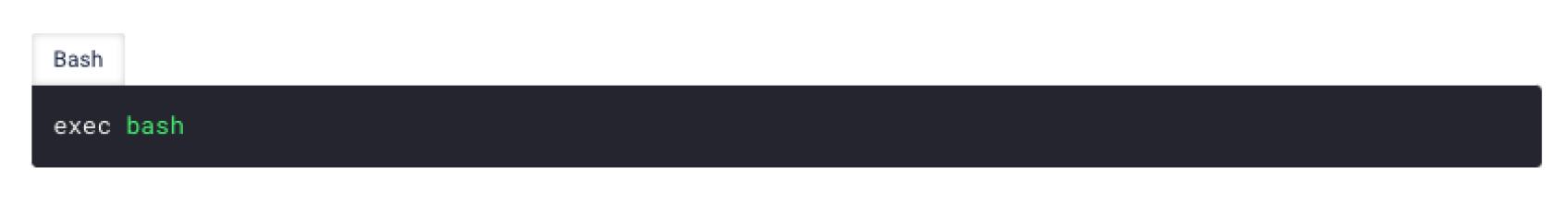 bash command 'exec bash' to execute a new shell instance